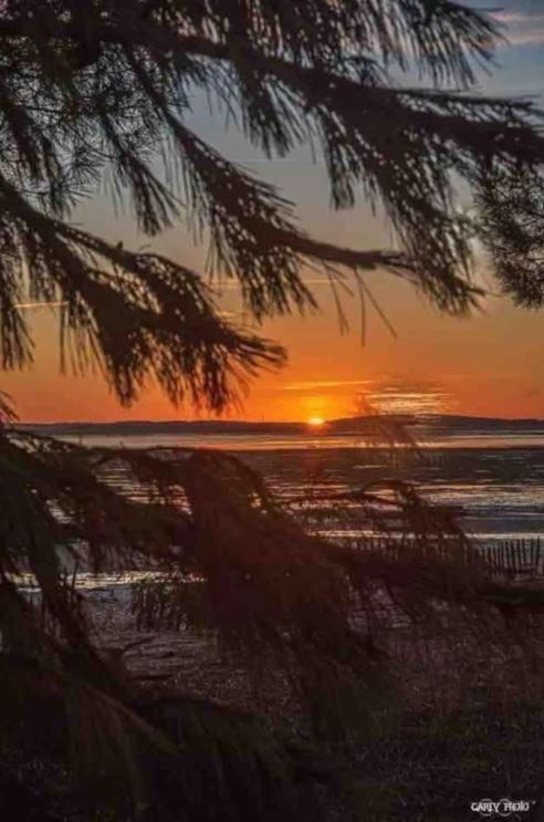 Gite Cala Verde Jardin, A 4Km De La Premiere Plage Audenge Zewnętrze zdjęcie